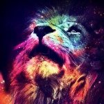 Ethan James Farber - @ethan__farber - Instagram