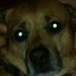 James Farish II - @james.i.farish - Instagram