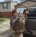 James Feagin - Facebook