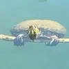 jamesfechner142 - @jamesfechner142 - TikTok