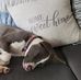 Jameson Fecteau - Facebook