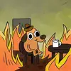 James Fells - @james.fells3 - TikTok
