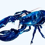 Jamesfellsart - @jamesfellsart - Instagram