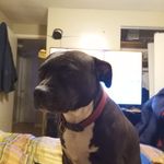 James Felty - @james.felty.395 - Instagram
