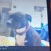 James Felty - Facebook
