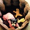 James Felty - @2181371754 - TikTok