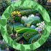 James Fermin - Facebook