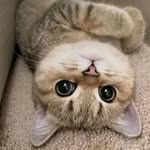 james fermo - @jamesfermo0 - Instagram