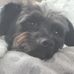 James Ferns - Facebook
