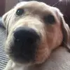 James_ferra - @james_ferraiuolo - TikTok
