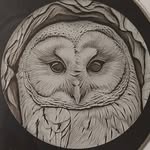 James T Ferrell - @jamesferrelljt - Instagram