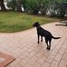 James Ferullo - Facebook