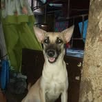James Verarde - Facebook