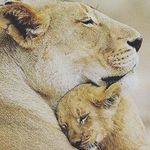 @jamesfester88 - Instagram