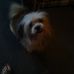 James Feulner - Facebook