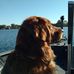 James Figgins - Facebook