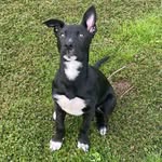 @james._.filmore - Instagram
