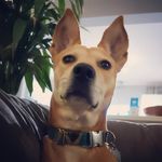 James Finder - @plexdllc - Instagram