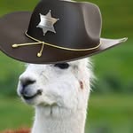 James - @james_finest_ - Instagram
