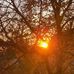 James Finucane - Facebook