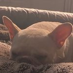 James Fishback - @bigboyroscoe75 - Instagram