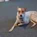 James Flach - Facebook