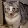 james_flagg21 - @james_flagg21 - TikTok