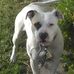 James Flavell - Facebook