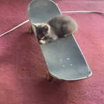 James Fleming - @j4m3sf13m1ng - Instagram