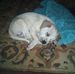 Jim Folmar - Facebook