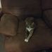 James Forcier - Facebook