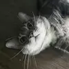 James - @james.ford297 - TikTok