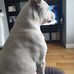 James Forde - Facebook
