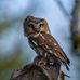 James Forsey - Facebook