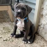 James Fotiadis - @jamesfotiadis - Instagram