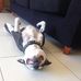 James Foxwell - Facebook