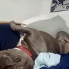 James Funkhouser - @james.funkhouser - TikTok