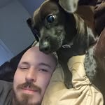 James Freels - @james_freels - Instagram