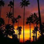 James Frees - @freesjames - Instagram