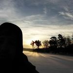 James Frees - @james.frees - Instagram