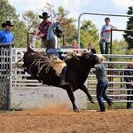 James Frey - @wild_bull_rider_com - Instagram