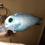 JamesFritch - @aficionadolurecompany - Instagram
