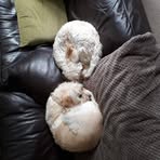 James Fulford - Facebook