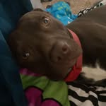 James Fulford - @sirtweetybird - Instagram