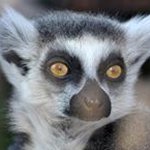 James Funnell - @funnell.jamesbantree21 - Instagram