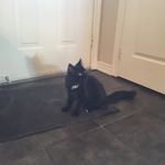 James Funnell - @wanderthecat_007 - Instagram