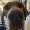 jamesgabler - @jamesgabler - TikTok