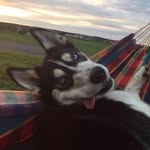 James Gallant - @j_gallant_ - Instagram