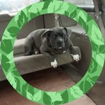 James Gambrell - Facebook