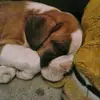 James Gann - @james.gann08 - TikTok